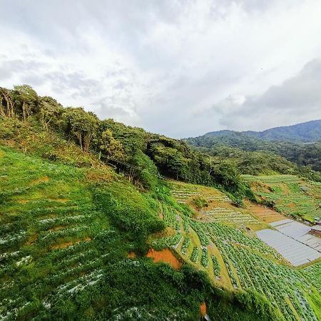 Dream 2 Leilighet Cameron Highlands Eksteriør bilde