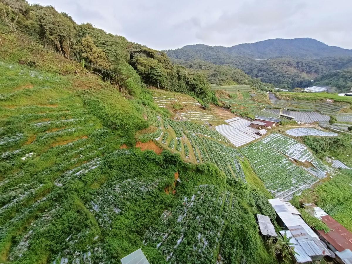 Dream 2 Leilighet Cameron Highlands Eksteriør bilde